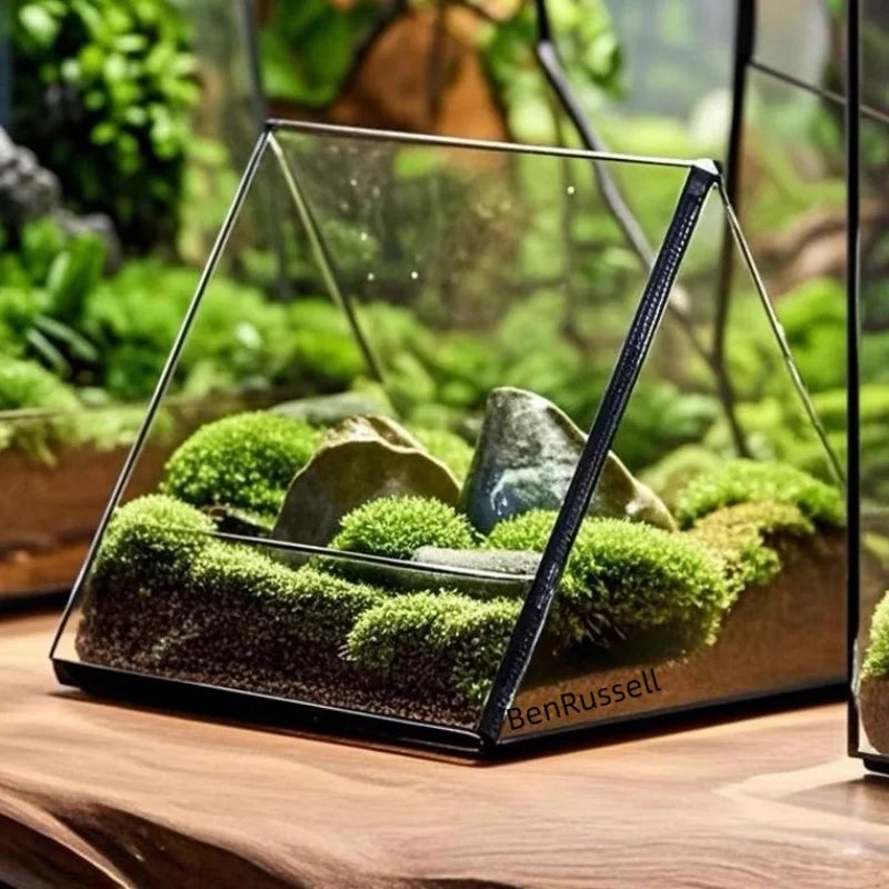 Triangle Glass Terrarium