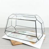 Geometric Glass Terrarium