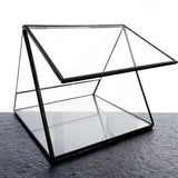 Triangle Glass Terrarium