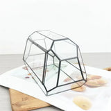 Geometric Glass Terrarium