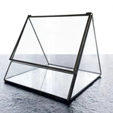 Triangle Glass Terrarium