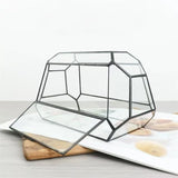 Geometric Glass Terrarium