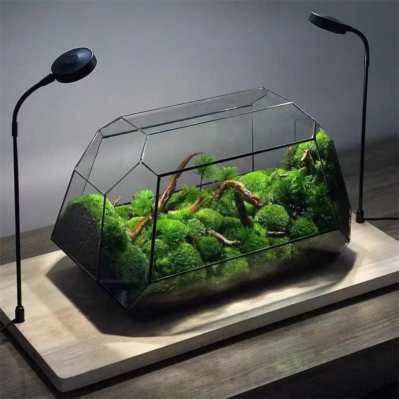 Geometric Glass Terrarium